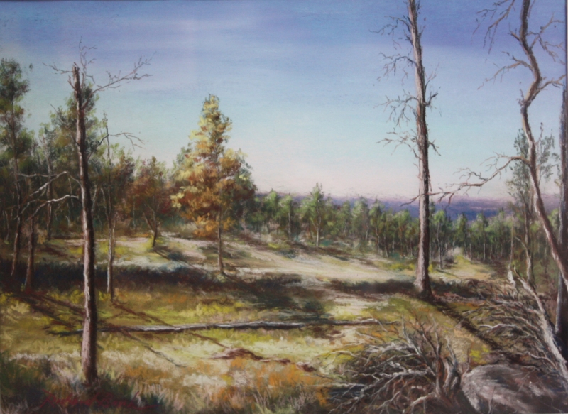 Solitudes by artist Richard Banh