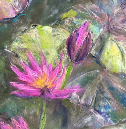 Fuchsia by artist Alan Ehrlich