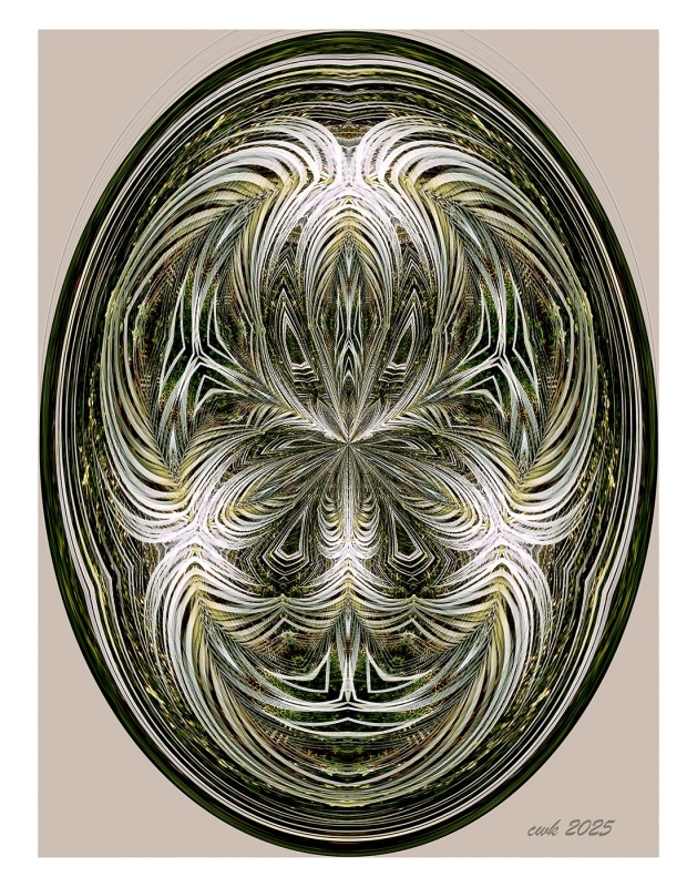 Faces by artist Charlie Kreitler