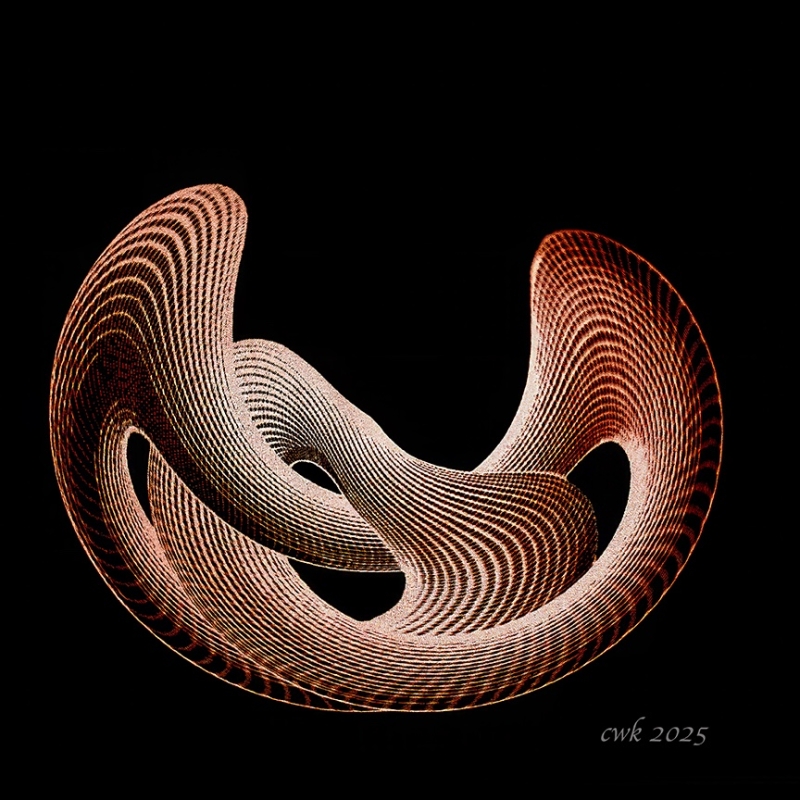 Mobius by artist Charlie Kreitler