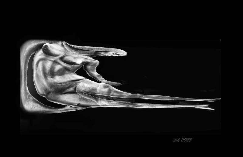 Nude by artist Charlie Kreitler