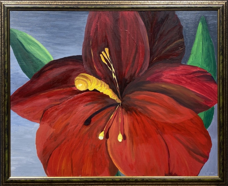 Hibiscus by artist Grania Patterson