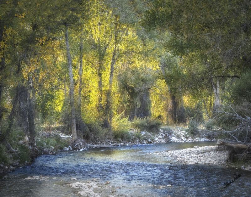 River by artist Claire Porter