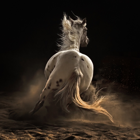 Swoosh by artist Claire Porter