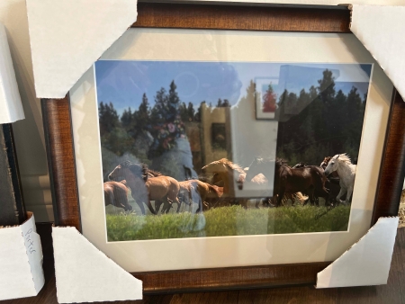 Unrestrained by artist Claire Porter