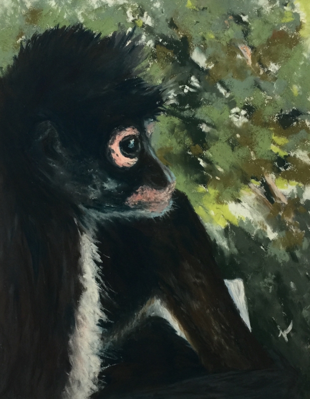 Chillaxing by artist Joycelyn Schedler