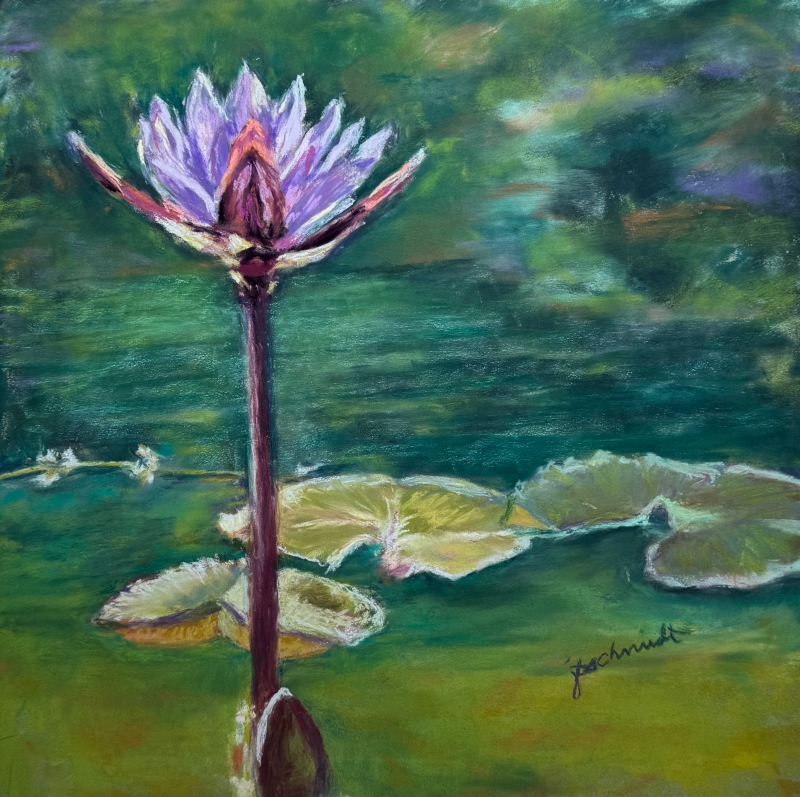 Drifting by artist Julie Schmidt