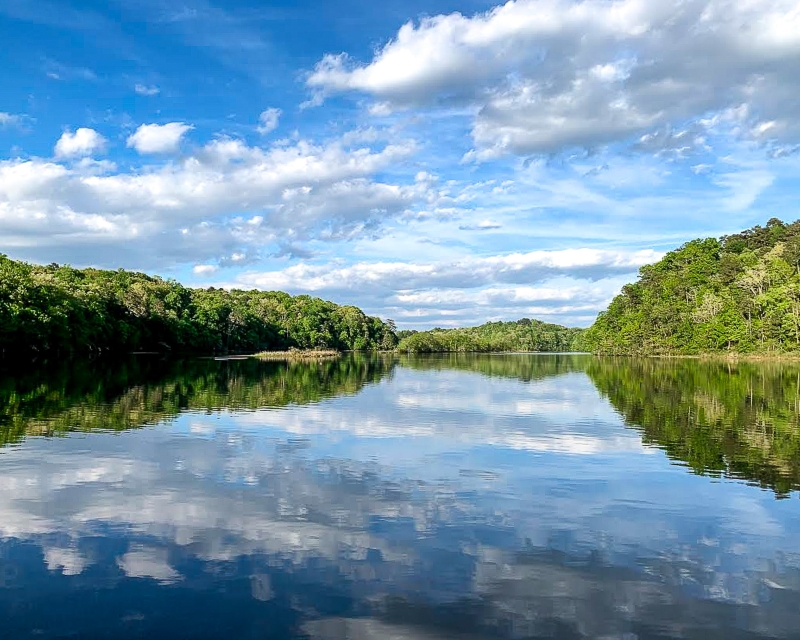 Reflections by artist Mike Shay