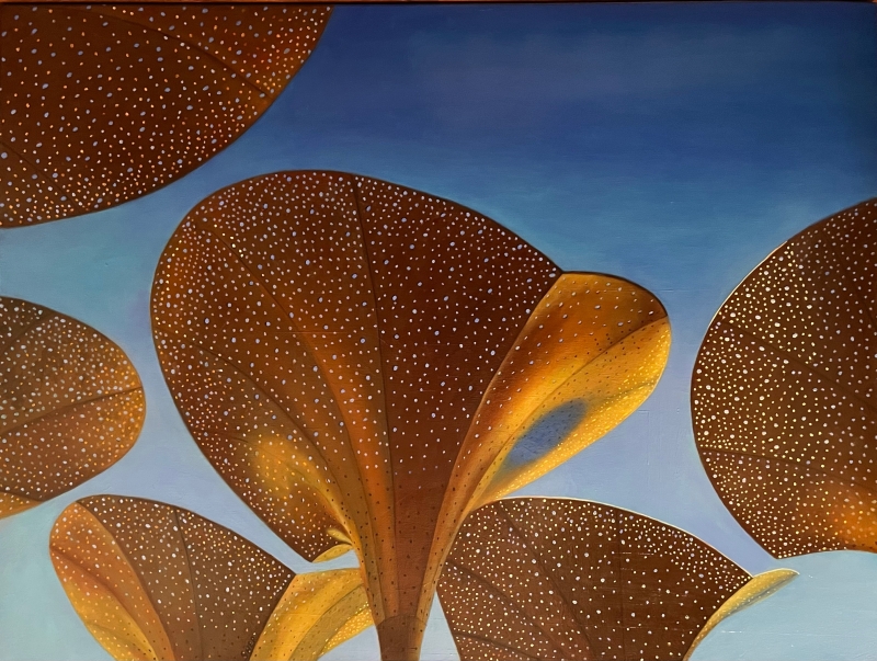 Canopies by artist Bob Shepherd